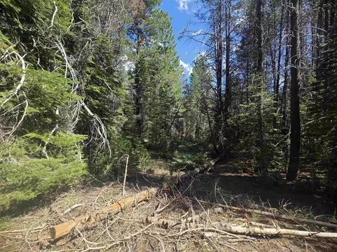 7000 Cold Stream Rd, Donner Lake, CA 96161 photo 16