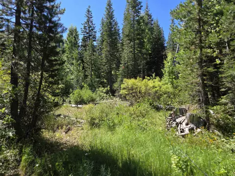 7000 Cold Stream Rd, Donner Lake, CA 96161 photo 6