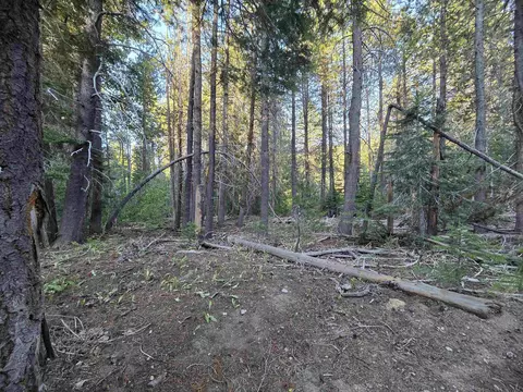 7000 Cold Stream Rd, Donner Lake, CA 96161 photo 11