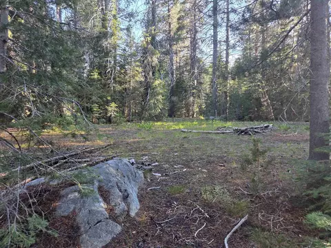 7000 Cold Stream Rd, Donner Lake, CA 96161 photo 3