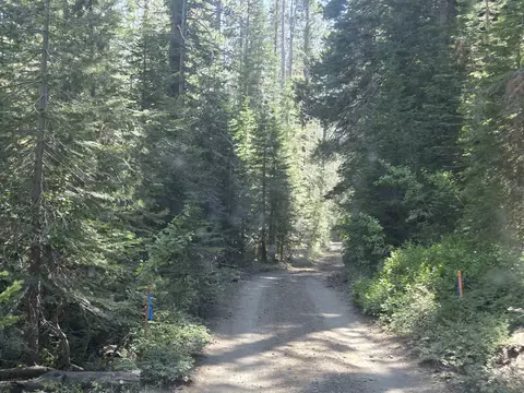 7000 Cold Stream Rd, Donner Lake, CA 96161 photo 5