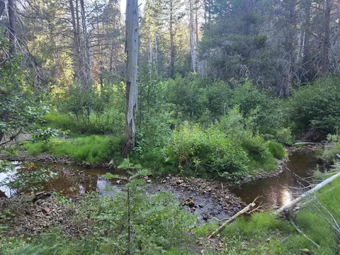 7000 Cold Stream Rd, Donner Lake, CA 96161 photo 2