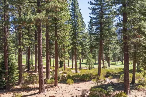 8220 Valhalla Dr, Truckee, CA 96161 photo 9