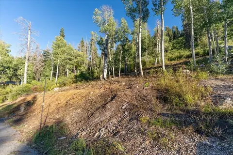 1037 Snow Crest Rd, Alpine Meadows, CA 96146 photo 7