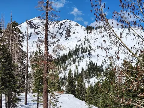 2090 Chalet Rd # 2, Alpine Meadows, CA 96146