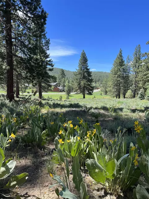 15865 Exeter Ct, Truckee, CA 96161 photo 13