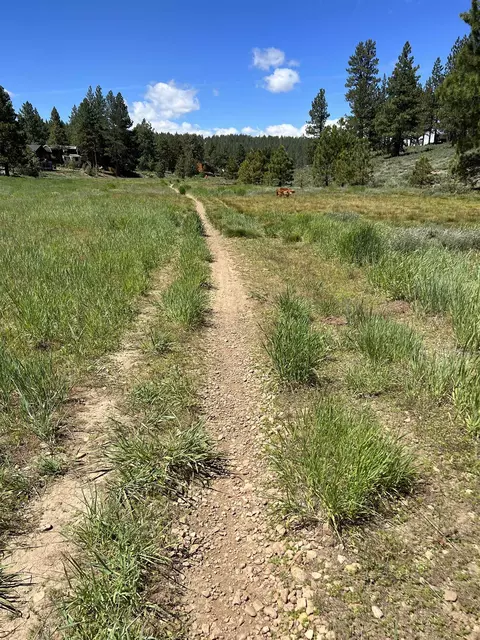15865 Exeter Ct, Truckee, CA 96161 photo 19
