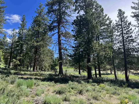 15865 Exeter Ct, Truckee, CA 96161 photo 5