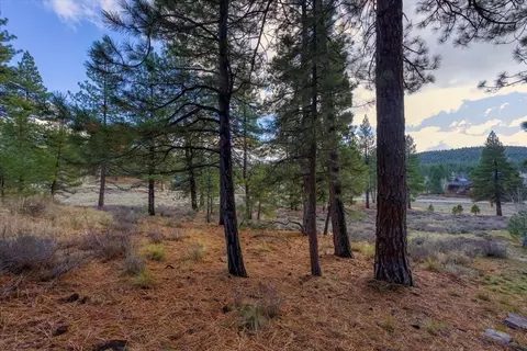 15865 Exeter Ct, Truckee, CA 96161 photo 15