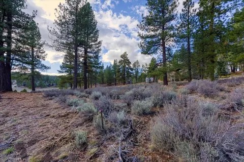 15865 Exeter Ct, Truckee, CA 96161 photo 8