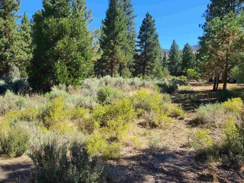 598 Longhorn Dr, Loyalton, CA 96118