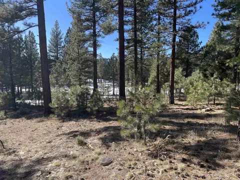 57 Red Hawk Dr, Portola, CA 96122
