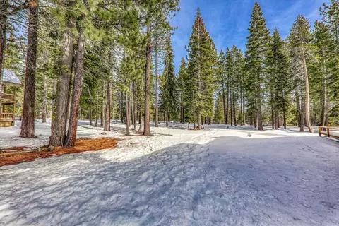 13742 Skiview Loop, Truckee, CA 96161 photo 6