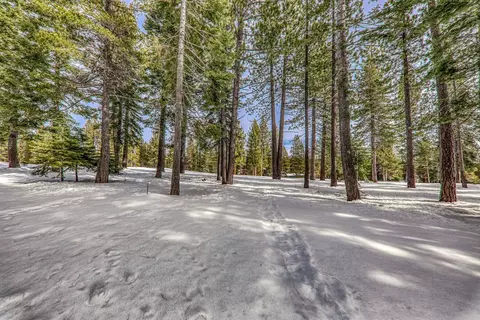 13742 Skiview Loop, Truckee, CA 96161 photo 7