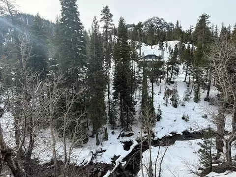 1416 Mineral Spring Trl, Alpine Meadows, CA 96146