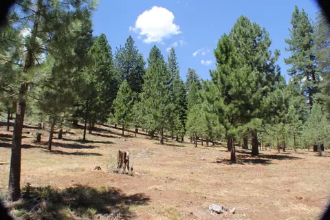 10735 Dogwood, Truckee, CA 96161