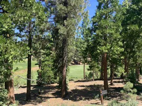 2066 Grizzly Ranch Rd, Portola, CA 96122
