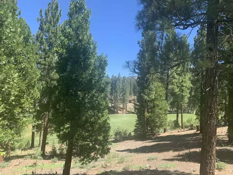 2104 Grizzly Ranch Rd, Portola, CA 96122