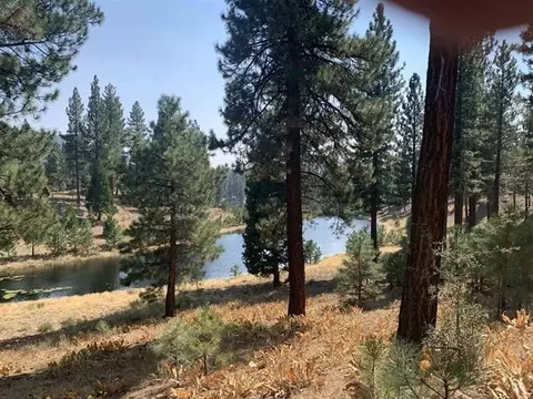 300 Blacktail Rdg, Portola, CA 96122