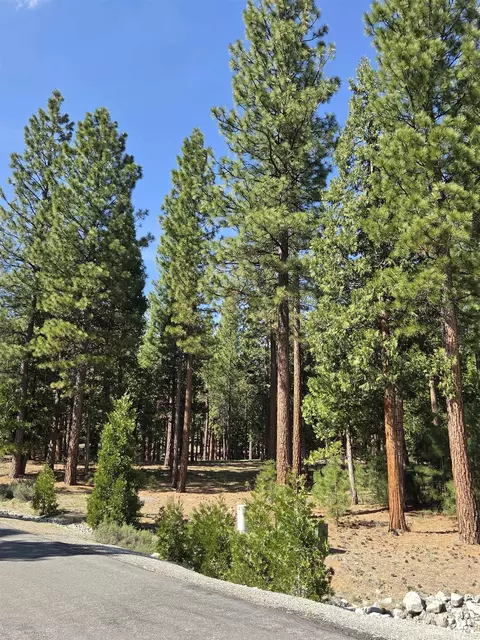 762 Blacktail Rdg, Portola, CA 96122
