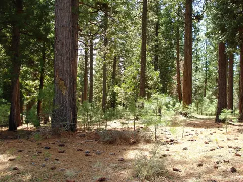 745 Blacktail Rdg, Portola, CA 96122