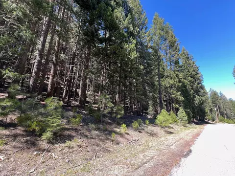 84 Yonkalla Trl, Graeagle, CA 96103 photo 5