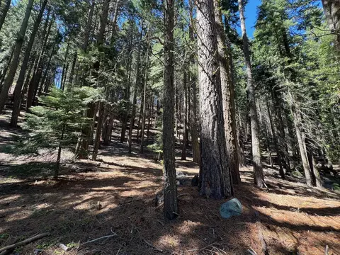 84 Yonkalla Trl, Graeagle, CA 96103 photo 7
