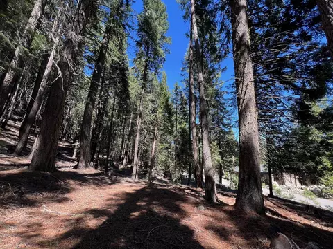 84 Yonkalla Trl, Graeagle, CA 96103 photo 2
