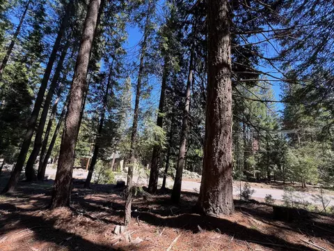 84 Yonkalla Trl, Graeagle, CA 96103 photo 3