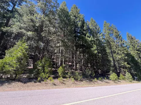 84 Yonkalla Trl, Graeagle, CA 96103 photo 6