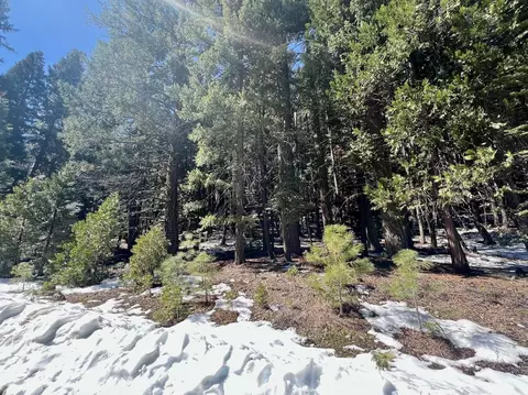 84 Yonkalla Trl, Graeagle, CA 96103 photo 17