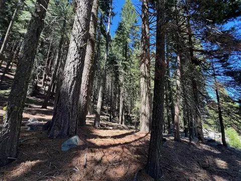 84 Yonkalla Trl, Graeagle, CA 96103 photo 8