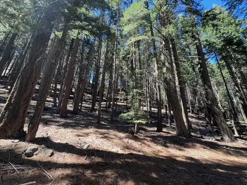 84 Yonkalla Trl, Graeagle, CA 96103 photo 10