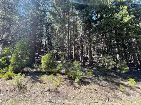84 Yonkalla Trl, Graeagle, CA 96103 photo 4