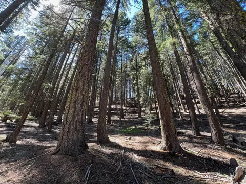 84 Yonkalla Trl, Graeagle, CA 96103 photo 11