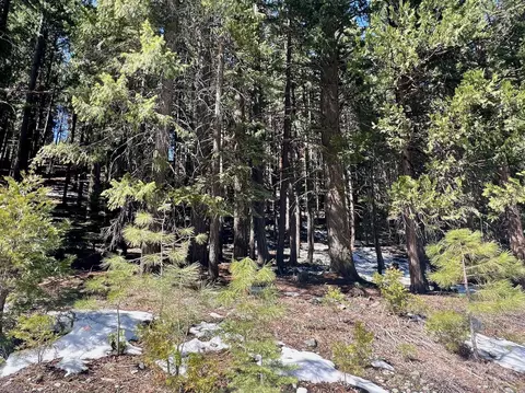 84 Yonkalla Trl, Graeagle, CA 96103 photo 16