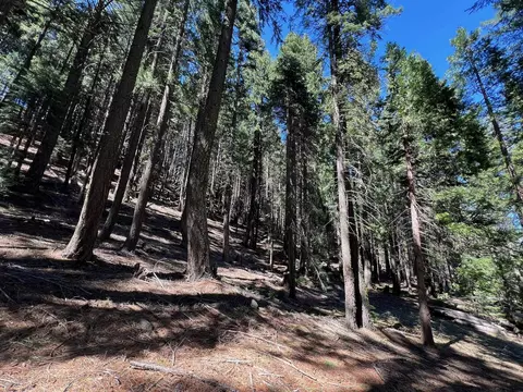 84 Yonkalla Trl, Graeagle, CA 96103 photo 12