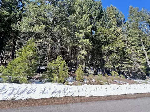 84 Yonkalla Trl, Graeagle, CA 96103 photo 15