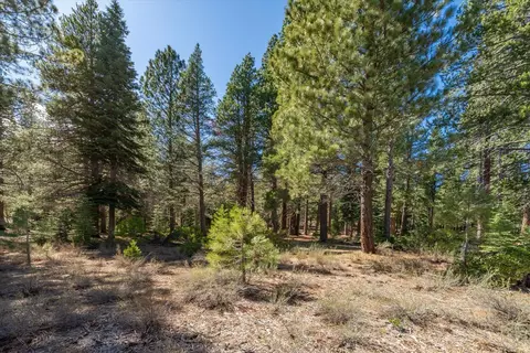11850 Bottcher Loop, Truckee, CA 96161 photo 14