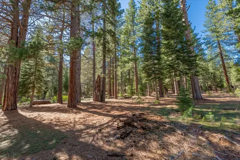 11850 Bottcher Loop, Truckee, CA 96161 photo 8