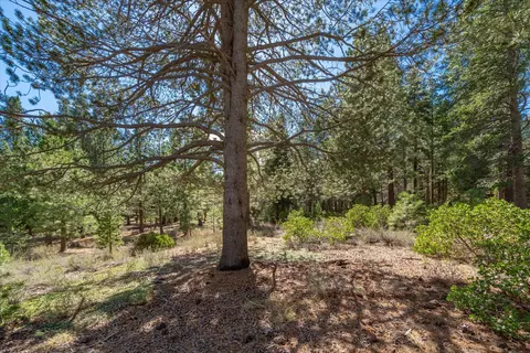11850 Bottcher Loop, Truckee, CA 96161 photo 18