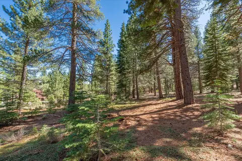 11850 Bottcher Loop, Truckee, CA 96161 photo 6