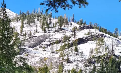 1539 Mineral Springs Trl, Alpine Meadows, CA 96146