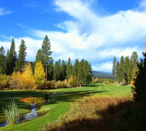 Other - 22 Fox Tail Ln, Clio, CA 96106 photo 5 of 5