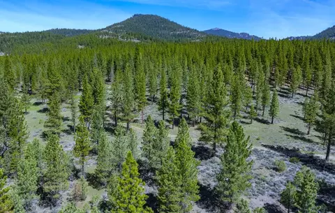 73077 Highway 70, Portola, CA 96122