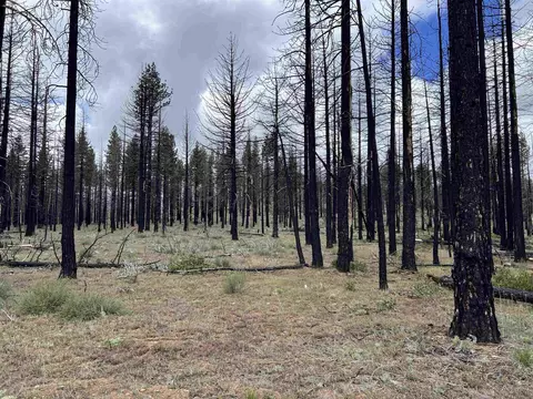 10179 Frenchman Blvd, Chilcoot, CA 96105