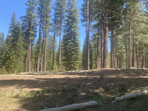 921 Prospector Dr, Clio, CA 91606 photo 4