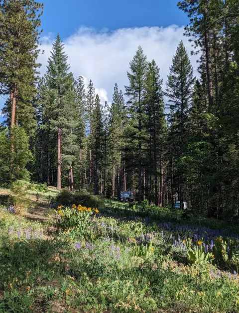 5738 Chandler Rd, Quincy, CA 95971