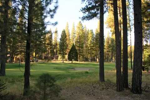 44 Black Bear Trl, Clio, CA 96106