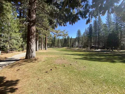 44 Black Bear Trl, Clio, CA 96106 photo 2